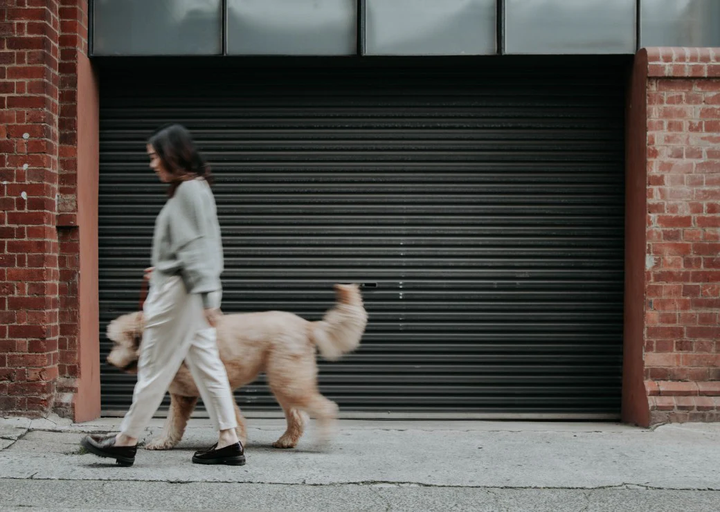 Healthy Treats for Happy Paws